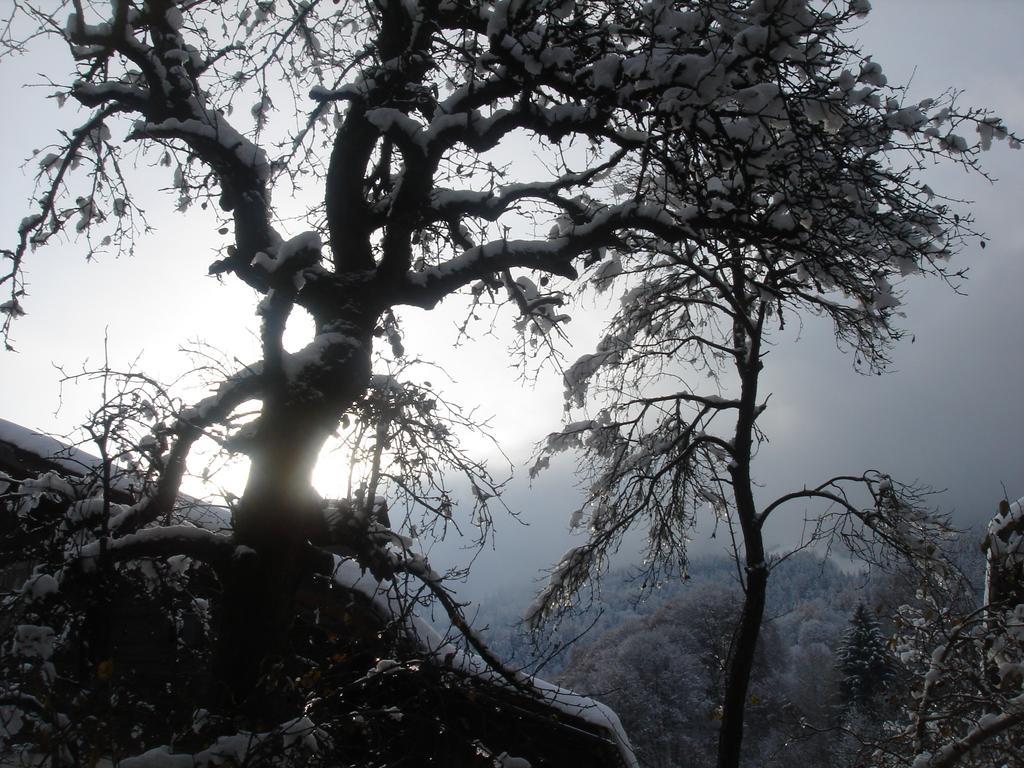 Bnb Hasatrog Jenaz エクステリア 写真